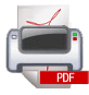 Скачать PDF