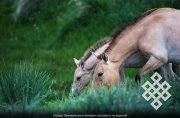 Фото Владимира Медведева