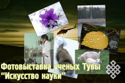 Победители фотоконкурса ученых Тувы "Искусство науки"