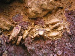 О первых исследованиях по изучению геологического строения и полезных ископаемых Тувинской народной республики