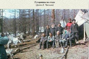 Тофалары и сойоты: историко-этнографический очерк