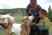 Глава Тувы намерен придать празднику животноводов «Наадым» государственный статус