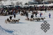 Фотовыставка Юрия Попкова "Олени и люди"