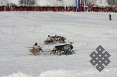 Фотовыставка Юрия Попкова "Олени и люди"