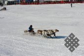 Фотовыставка Юрия Попкова "Олени и люди"