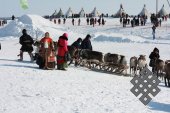 Фотовыставка Юрия Попкова "Олени и люди"