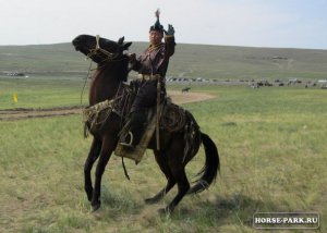 Тувинская порода лошадей