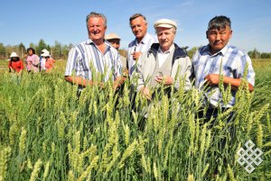 Развитие аграрной науки в Туве