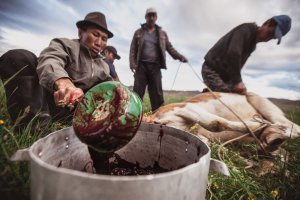 Тува - республика шаманов