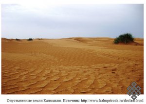 Этно-экологическое хозяйствование калмыков в начале XX века