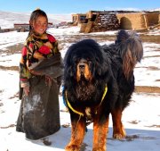 Анонс конференции «Тибет глазами российских путешественников»