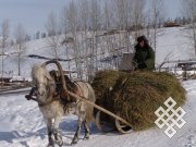 Фотовыставка Жанны Юша “Тувинцы Китая в современном мире”